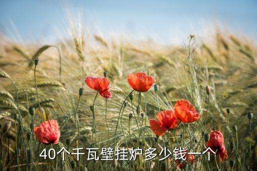 40个千瓦壁挂炉多少钱一个