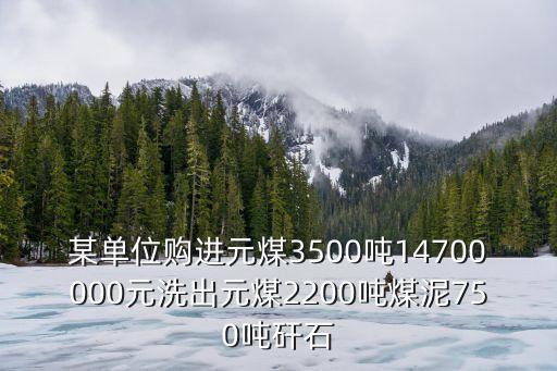 某单位购进元煤3500吨14700000元洗出元煤2200吨煤泥750吨矸石