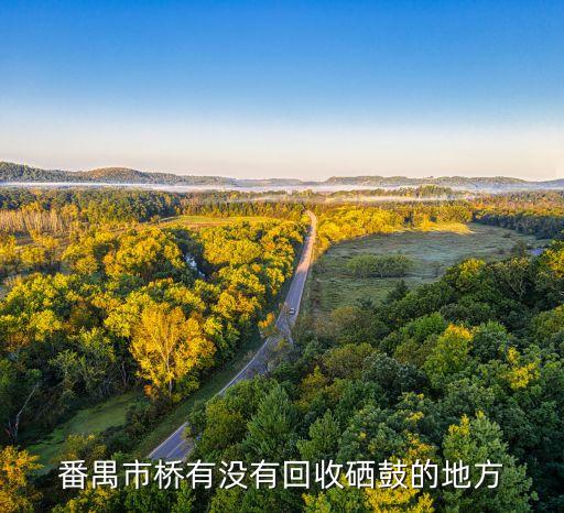 番禺市桥有没有回收硒鼓的地方