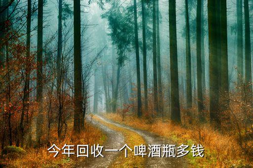 今年回收一个啤酒瓶多钱