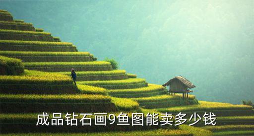 成品钻石画9鱼图能卖多少钱