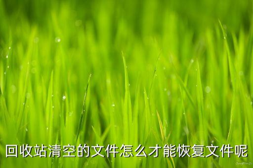 回收站清空的文件怎么才能恢复文件呢