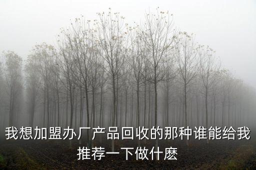 我想加盟办厂产品回收的那种谁能给我推荐一下做什麽