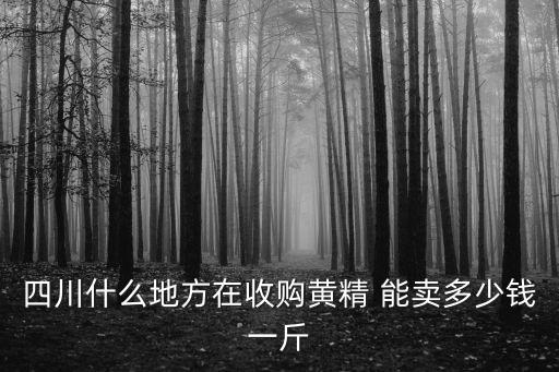 四川什么地方在收购黄精 能卖多少钱一斤