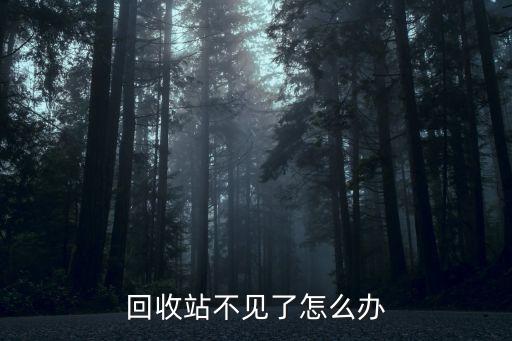 回收站找不到了怎么办，回收站不见了怎么办