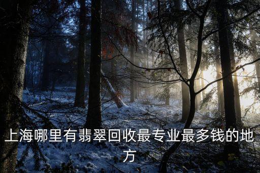 上海哪里有翡翠回收最专业最多钱的地方