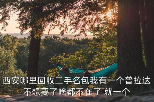 西安哪里回收二手名包我有一个普拉达不想要了啥都不在了 就一个