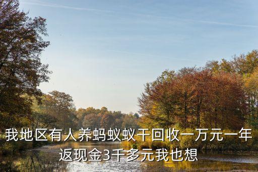 蚂蚁回收废品怎么加盟代理，易丢丢垃圾回收怎么加盟