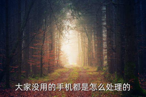 大家没用的手机都是怎么处理的