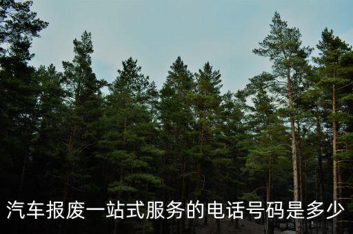 汽车报废一站式服务的电话号码是多少