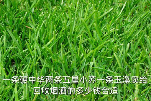 商洛名烟名酒回收价格多少，一条硬中华两条五星小苏一条玉溪卖给回收烟酒的多少钱合适
