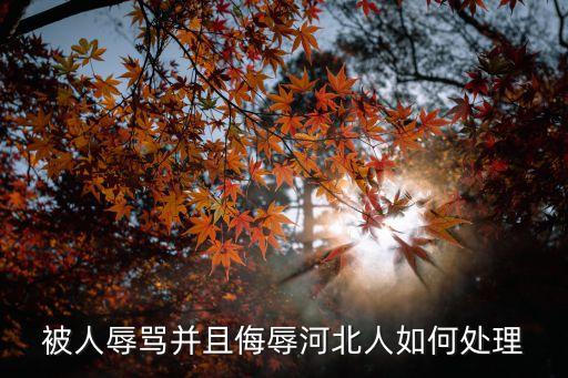 被人辱骂并且侮辱河北人如何处理