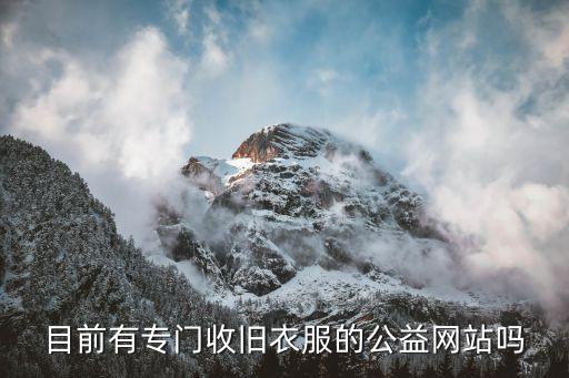 回收旧衣服网站，目前有专门收旧衣服的公益网站吗