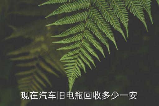 现在汽车旧电瓶回收多少一安