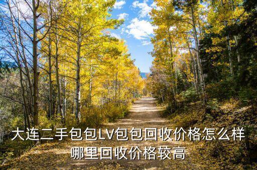 名包回收价格多少，大连二手包包LV包包回收价格怎么样哪里回收价格较高