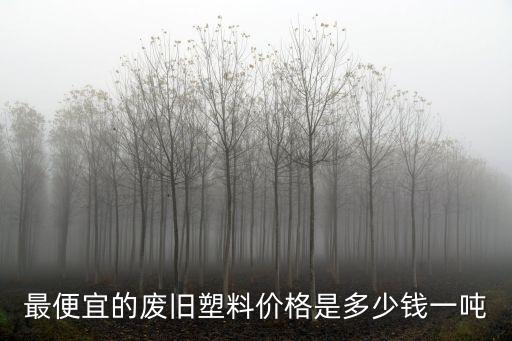 最便宜的废旧塑料价格是多少钱一吨