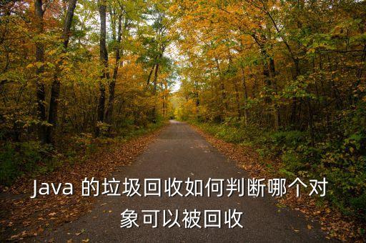 Java 的垃圾回收如何判断哪个对象可以被回收