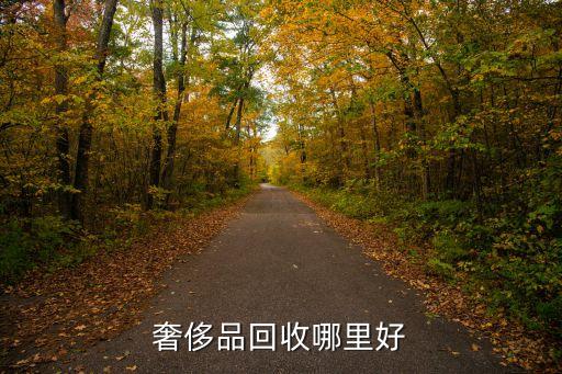 奢侈品回收哪里好