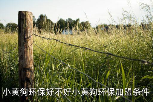 怎么加入小黄狗回收，小黄狗APP是什么