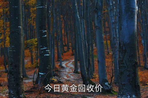 今日黄金回收价