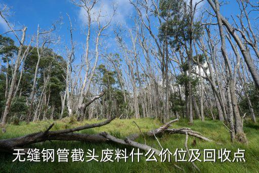 无缝钢管截头废料什么价位及回收点