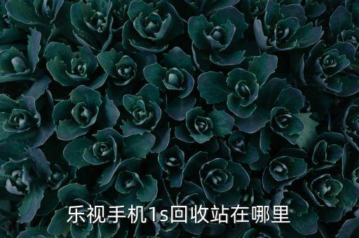 乐视手机的回收站在哪里，乐视手机相册回收站在哪里