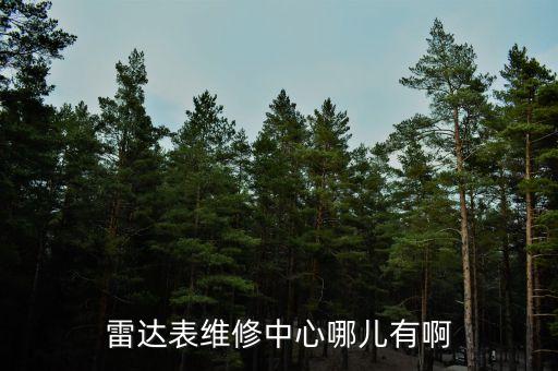 雷达表维修中心哪儿有啊
