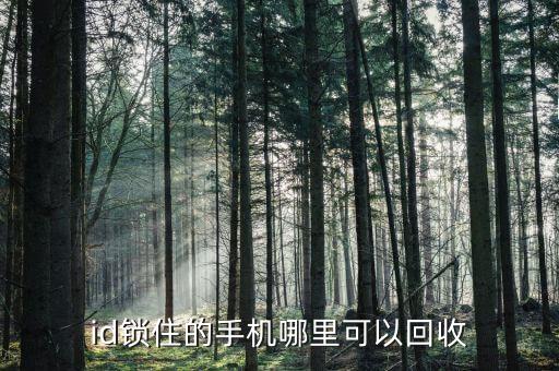 id锁住的手机哪里可以回收