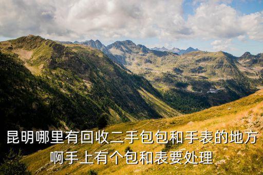 昆明哪里有回收二手包包和手表的地方啊手上有个包和表要处理