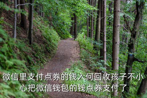 微信里支付点券的钱入何回收孩子不小心把微信钱包的钱点券支付了