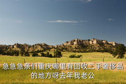 急急急亲们重庆哪里有回收二手奢侈品的地方呀去年我老公