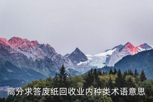 高分求答废纸回收业内种类术语意思