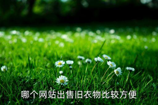 哪个网站出售旧衣物比较方便