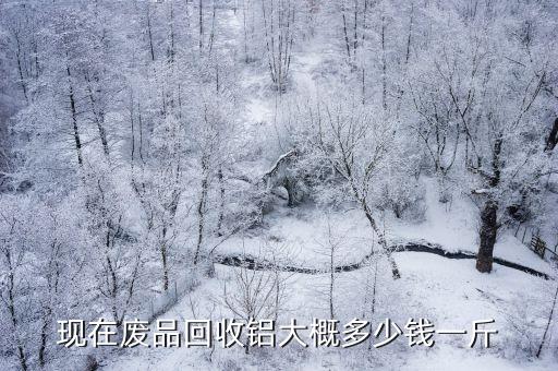 现在废品回收铝大概多少钱一斤