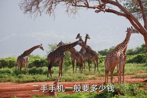 二手手机一般要多少钱