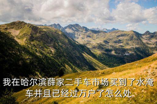 我在哈尔滨薛家二手车市场买到了水淹车并且已经过万户了怎么处