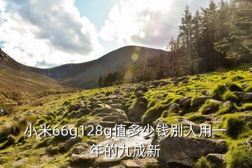 小米66g128g值多少钱别人用一年的九成新