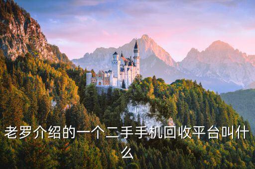 老罗介绍的一个二手手机回收平台叫什么