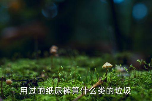 用过的纸尿裤算什么类的垃圾