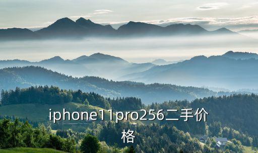 iphone11pro256二手价格