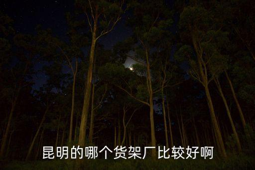 昆明的哪个货架厂比较好啊
