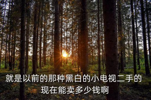 就是以前的那种黑白的小电视二手的 现在能卖多少钱啊