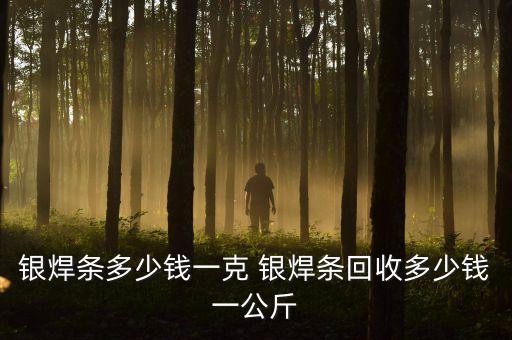 回收焊条多少钱，银焊条多少钱一克 银焊条回收多少钱一公斤
