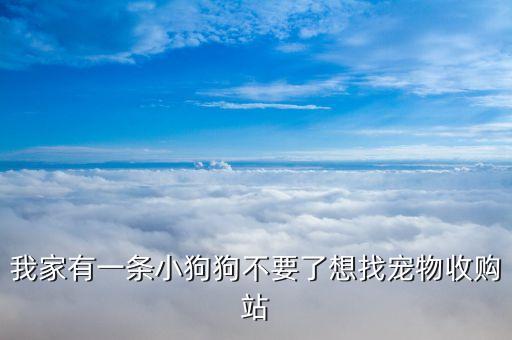 我家有一条小狗狗不要了想找宠物收购站