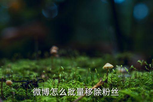 回收怎么移除全部粉丝，怎么移除刷过的粉丝