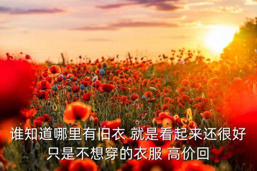 谁知道哪里有旧衣 就是看起来还很好只是不想穿的衣服 高价回