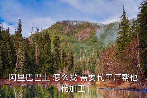 阿里巴巴上 怎么找 需要代工厂帮他代加工