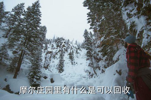 摩尔庄园里有什么是可以回收