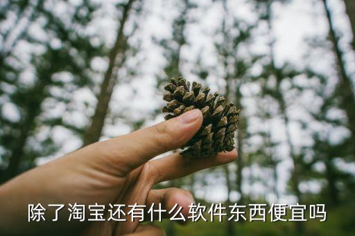 拿货最便宜的批发软件，除了淘宝还有什么软件东西便宜吗