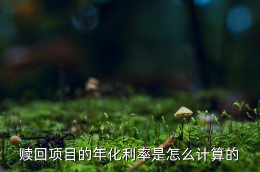 赎回项目的年化利率是怎么计算的